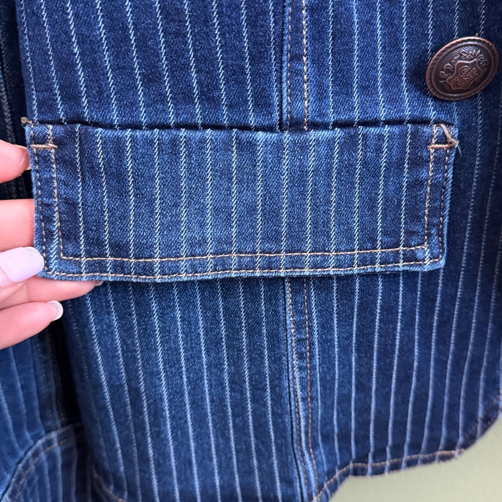 Denim Blue Pinstripe Jacket by Dictionary - Picture 7 of 8